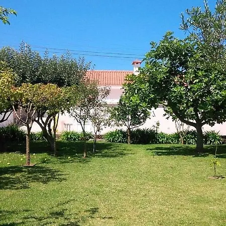 Antas